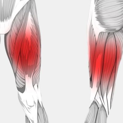 Paha (Thigh)